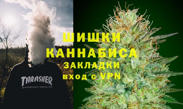 PSILOCYBIN Богородицк