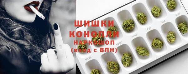 PSILOCYBIN Богородицк