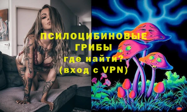 PSILOCYBIN Богородицк