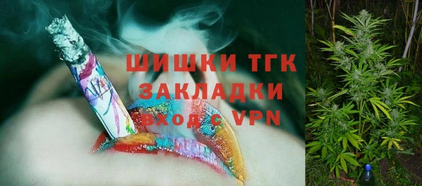 PSILOCYBIN Богородицк