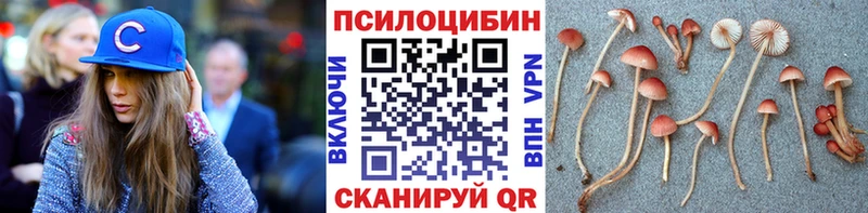 Галлюциногенные грибы мухоморы Новокузнецк