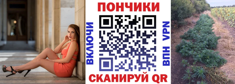 купить  сайты  Новокузнецк  Шишки марихуана ГИДРОПОН 